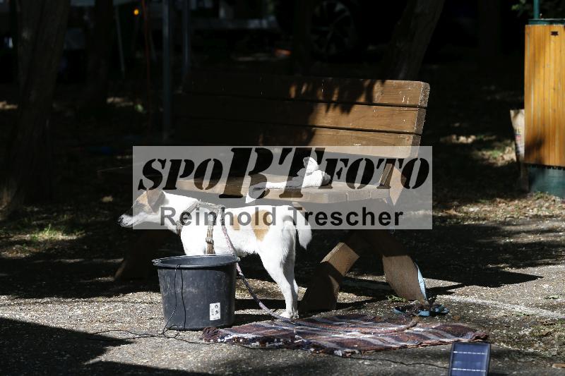 /16 16.05.2025 PROMAX ADR/Impressionen